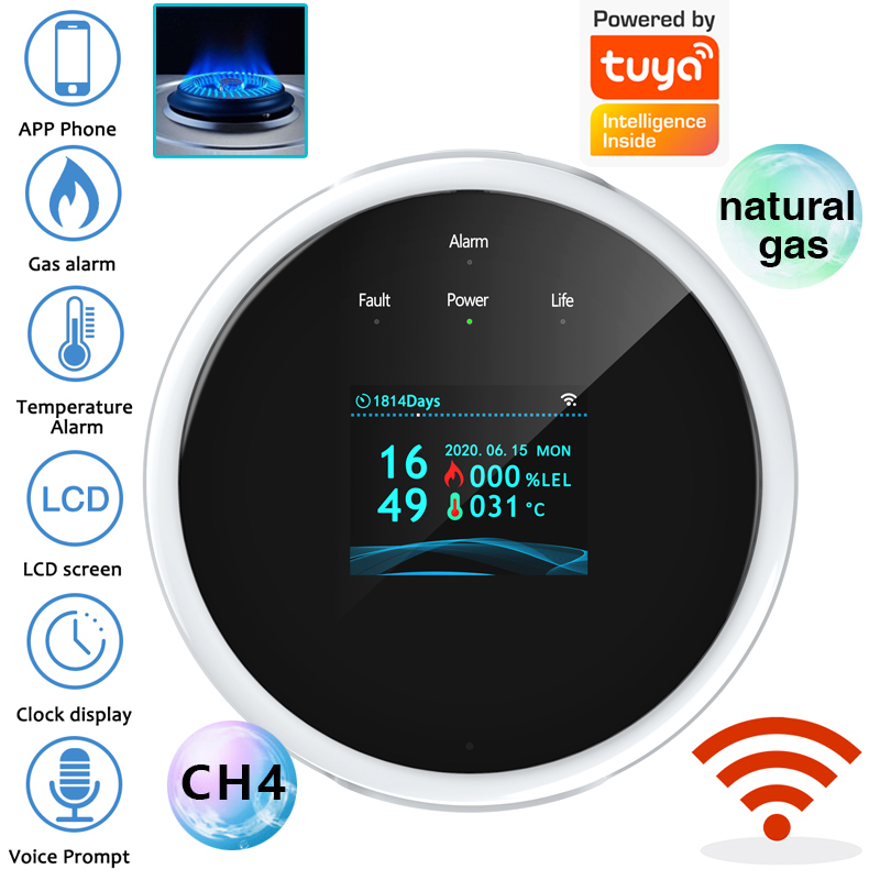 Home Security Gadgets - 2.4G WiFi Gas Alarm Sensor Combustible