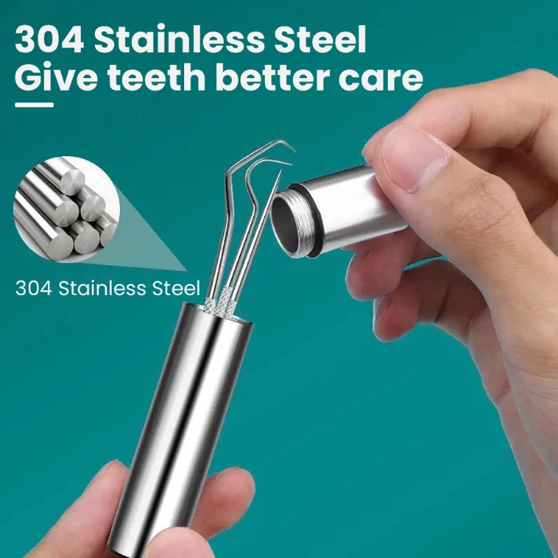 Stainless Steel Toothpick Port - Lock Picking Set ulasan dan harga
